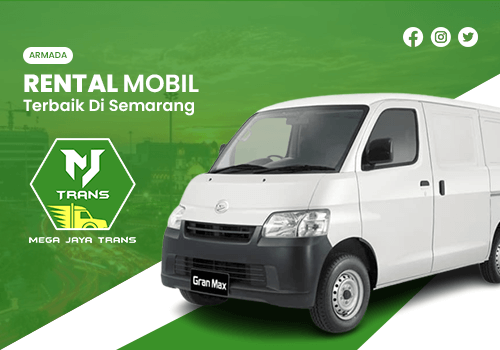 Grandmax Blindvan